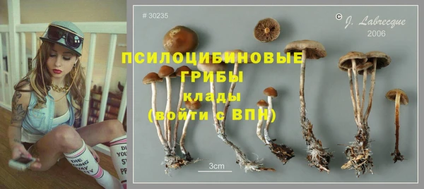 первитин Армянск
