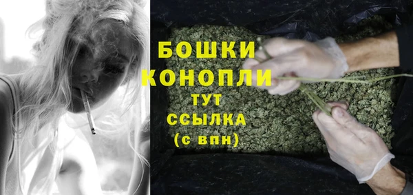 PSILOCYBIN Арсеньев
