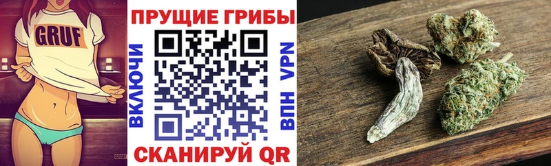 Галлюциногенные грибы мицелий  blacksprut ссылка  Рыльск 